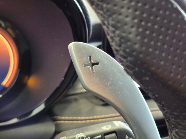 ALFA ROMEO Tonale usata, con Vetri oscurati