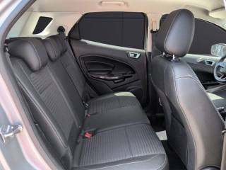 FORD EcoSport usata, con Controllo vocale