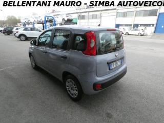 FIAT Panda usata, con Chiusura centralizzata
