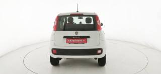 FIAT Panda usata 31