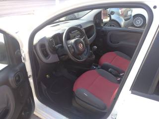 FIAT Panda usata, con Controllo trazione