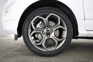 FORD EcoSport usata 7