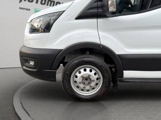 FORD Transit usata 18