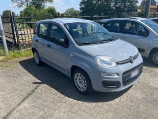 FIAT Panda usata, con Controllo trazione