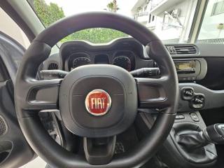 FIAT Panda usata, con Controllo trazione