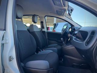 FIAT Panda usata 29