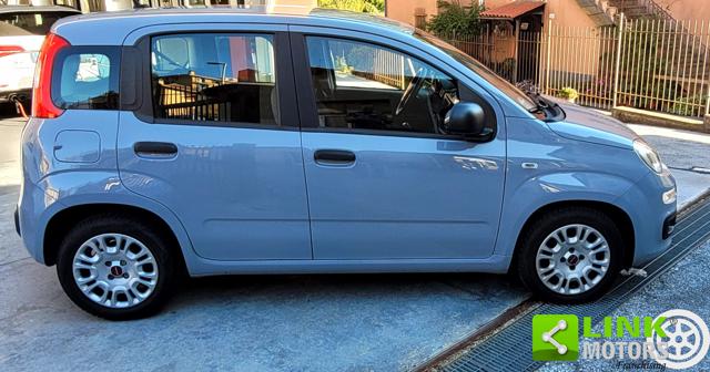 FIAT Panda usata 2
