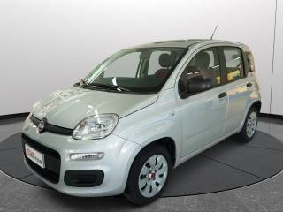 FIAT Panda usata 18