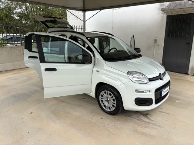 FIAT Panda usata 21