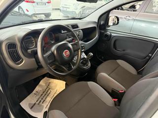 FIAT Panda usata, con Servosterzo