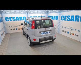 FIAT New Panda usata, con Alzacristalli elettrici