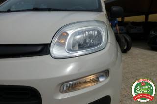 FIAT Panda usata 24