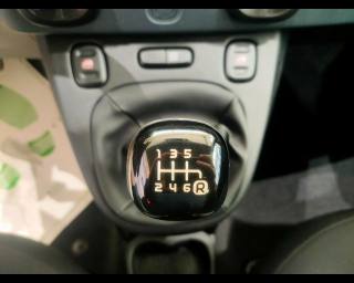 FIAT New Panda usata, con Start/Stop Automatico
