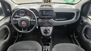 FIAT Panda usata, con Airbag testa