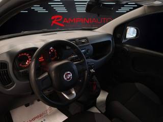 FIAT Panda usata 13