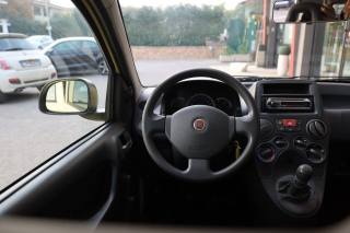 FIAT Panda usata 25