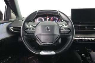 PEUGEOT 3008 usata 11