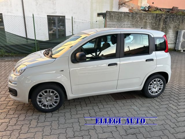 FIAT Panda usata, con Boardcomputer