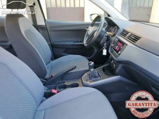 SEAT Arona usata, con Controllo trazione