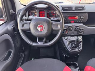 FIAT Panda usata, con Airbag testa