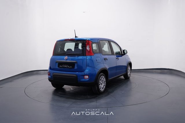 FIAT Panda usata, con Chiusura centralizzata