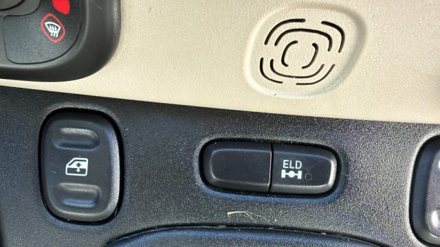 FIAT Panda usata, con Controllo trazione