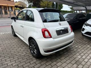 FIAT 500 usata 6