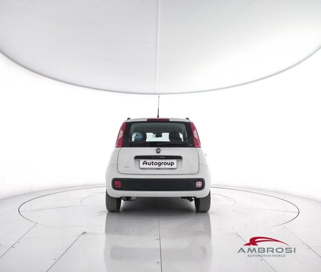 FIAT Panda usata 5