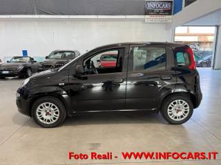 FIAT Panda usata 17