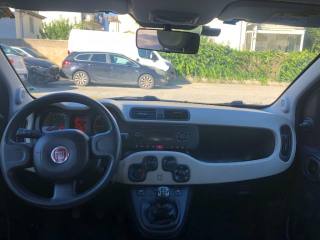 FIAT Panda usata, con Airbag testa