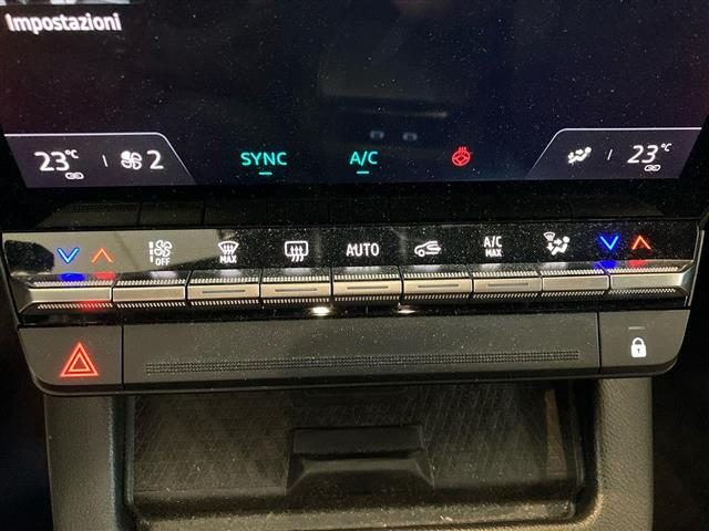 RENAULT Megane usata 23