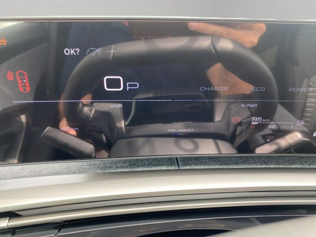 PEUGEOT 3008 usata, con Vetri oscurati