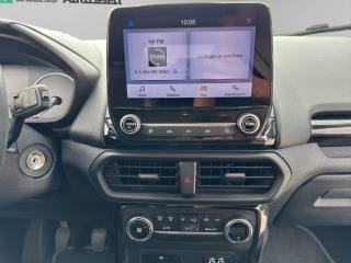 FORD EcoSport usata, con Servosterzo