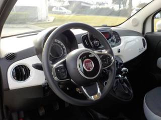 FIAT 500 usata 31