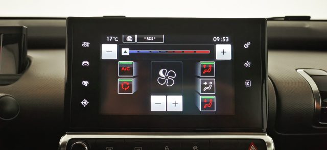 CITROEN C4 Cactus usata, con ESP