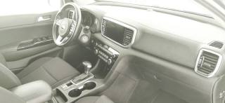 KIA Sportage usata 67
