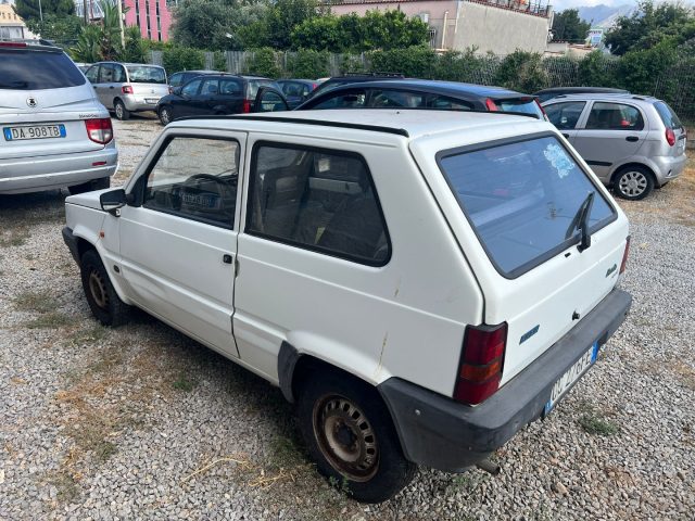 FIAT Panda usata 2
