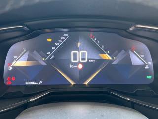 DS AUTOMOBILES DS 7 Crossback usata, con Immobilizzatore elettronico