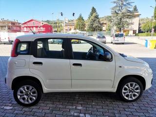 FIAT Panda usata, con Climatizzatore