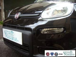 FIAT Panda usata, con Alzacristalli elettrici