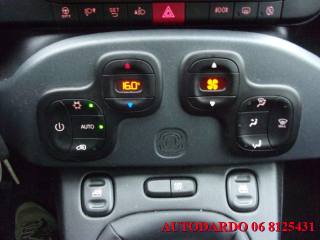 FIAT Panda usata 16