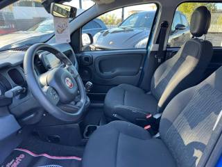 FIAT Panda Cross usata, con Servosterzo