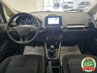 FORD EcoSport usata, con Cruise Control