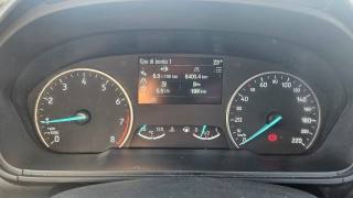 FORD EcoSport usata, con Frenata d