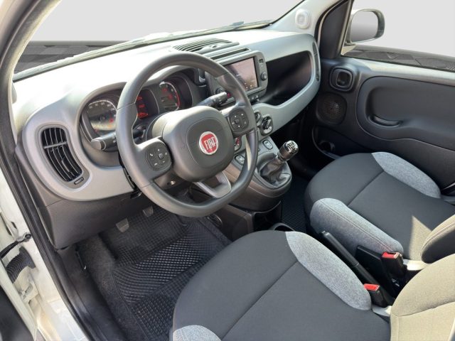 FIAT Panda usata 8