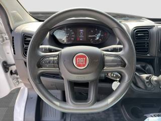 FIAT Ducato usata 10