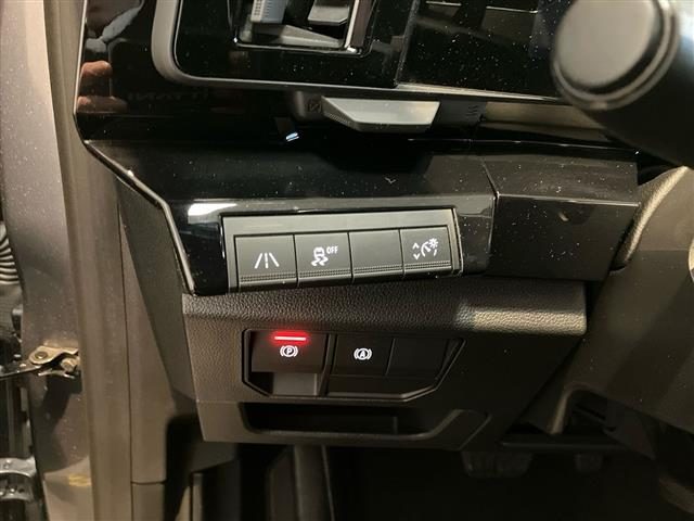 RENAULT Austral usata 19