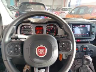 FIAT Panda Cross usata 25