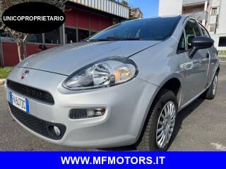 FIAT Punto 1.4 8V 5 porte Natural Power Street