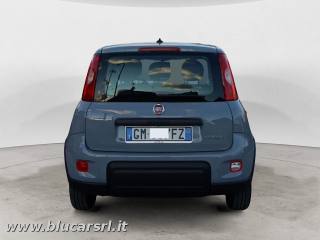 FIAT Panda usata, con Antifurto